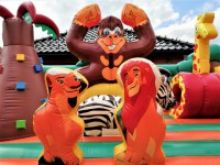 /album/detske-aktivni-centrum-safari/safari-celni-pohled-jpg/